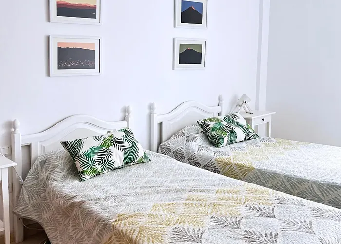 Luna De Lobos: Bright And Cozy In Bristol